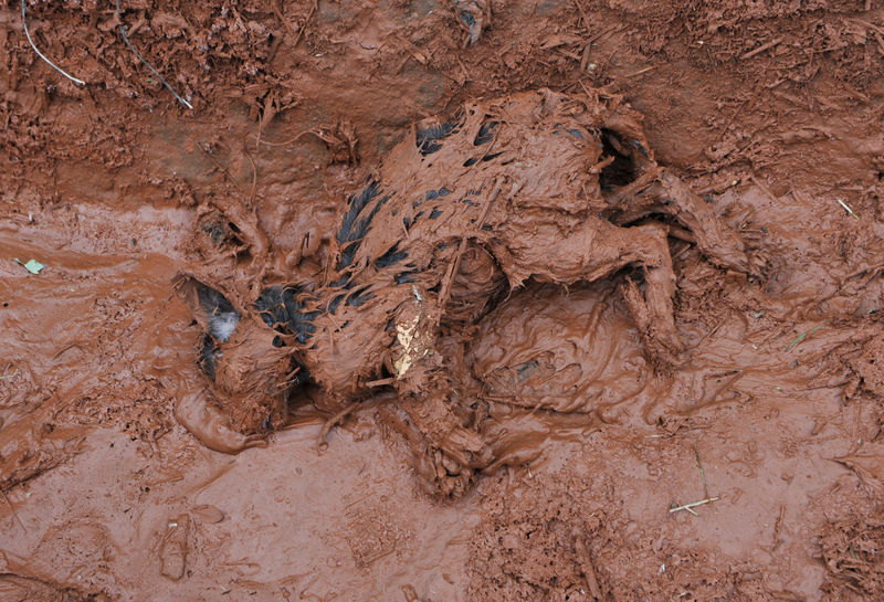 Illustration for article titled Hungarian toxic sludge kills 4, injures at least 120 — and it may be headed for the Danube